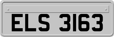 ELS3163