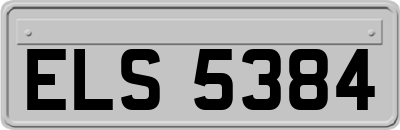 ELS5384