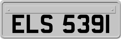 ELS5391