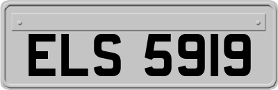 ELS5919