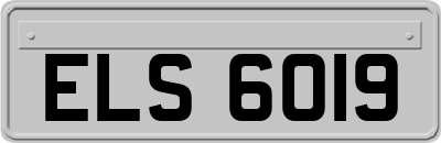 ELS6019