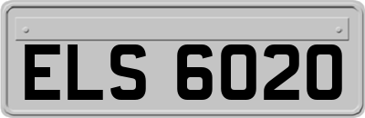 ELS6020