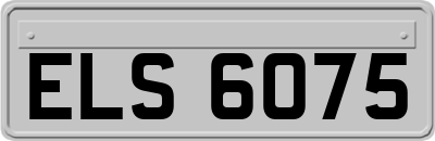 ELS6075