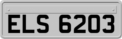 ELS6203