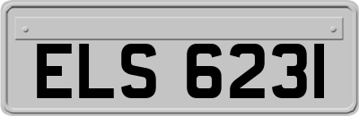 ELS6231