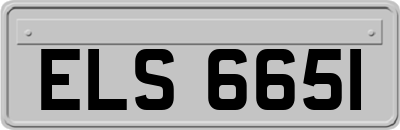 ELS6651