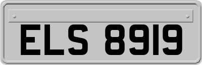 ELS8919