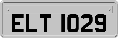 ELT1029