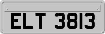 ELT3813