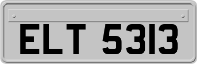 ELT5313