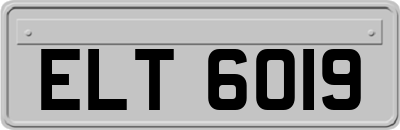 ELT6019
