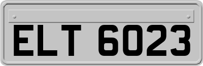 ELT6023
