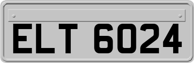 ELT6024