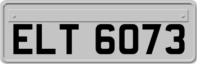 ELT6073