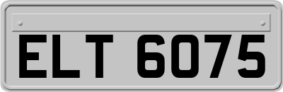 ELT6075