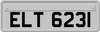ELT6231