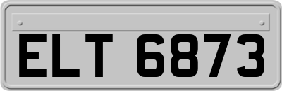 ELT6873