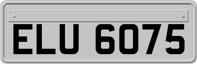 ELU6075