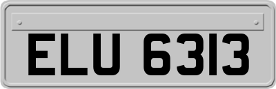ELU6313