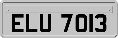 ELU7013