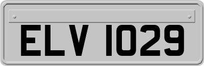 ELV1029