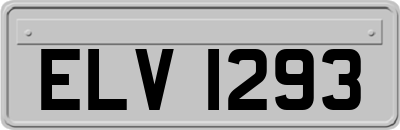 ELV1293