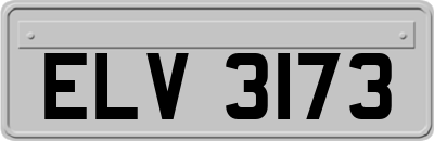 ELV3173
