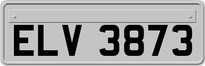 ELV3873