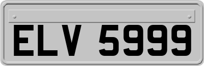ELV5999