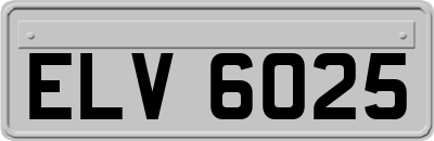 ELV6025