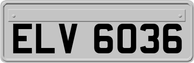 ELV6036