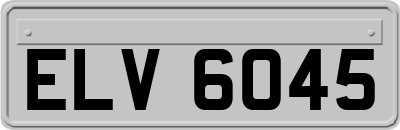ELV6045