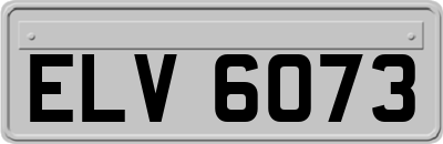ELV6073