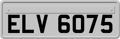 ELV6075
