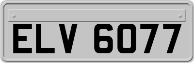 ELV6077