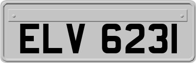 ELV6231