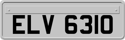 ELV6310