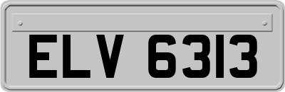 ELV6313