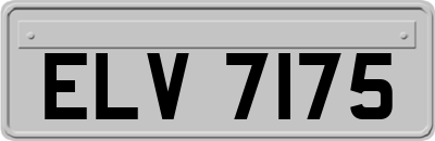 ELV7175