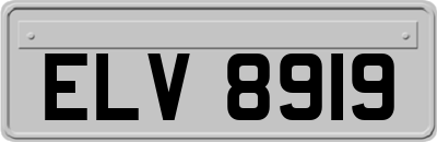 ELV8919