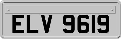 ELV9619