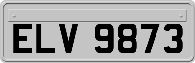 ELV9873