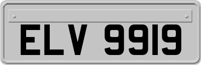 ELV9919
