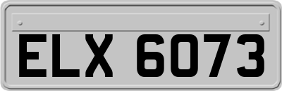 ELX6073