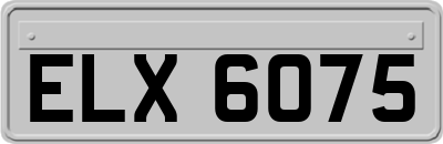 ELX6075