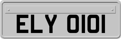 ELY0101