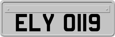 ELY0119