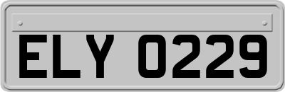 ELY0229