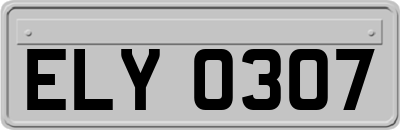 ELY0307