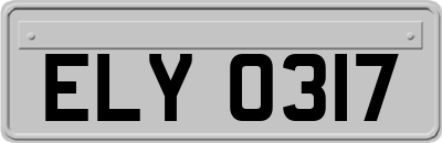 ELY0317